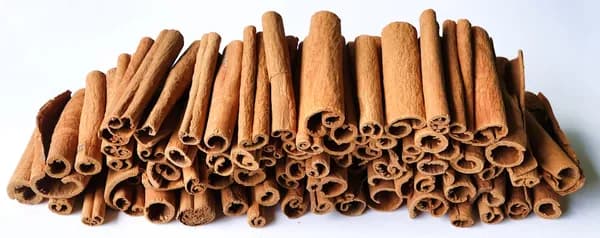 Blood Sugar Ultra: Natural Ingredients for Balanced Glucose and Wellness Cover