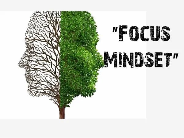 Unleashing Productivity: Mastering Technology and Focus with Practical Strategies Cover